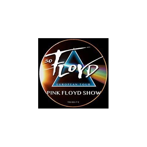 JANVIER 2024 : Concert SO FLOYD TRIBUTE | SLVIE 1