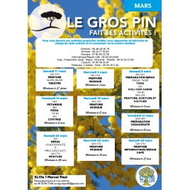 MARS : Activités du Gros Pin | SLVIE 1