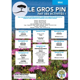 MARS : Activités du Gros Pin | SLVIE 1