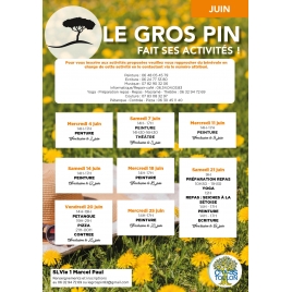 MARS : Activités du Gros Pin | SLVIE 1