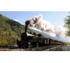 Le train des Pignes, dimanche 26 juin 2022