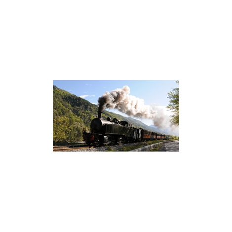 Le train des Pignes, dimanche 26 juin 2022