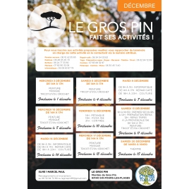 DECEMBRE : Activités du Gros Pin | SLVIE 1