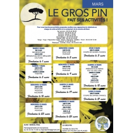 JANVIER : Activités du Gros Pin | SLVIE 1