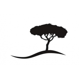 JANVIER : Activités du Gros Pin | SLVIE 1