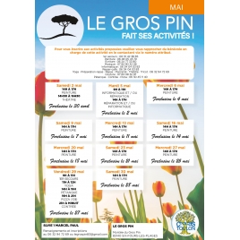 JANVIER : Activités du Gros Pin | SLVIE 1