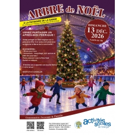 DECEMBRE : Arbre de noel - Patinoire de La Garde | CJF
