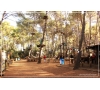 SEPTEMBRE-SLVIE1-COUDOU PARC- 24/09/22