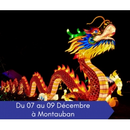 DECEMBRE : Festival des Lanternes |COM PENSIONNEE